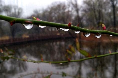 三阳意思 下雨生